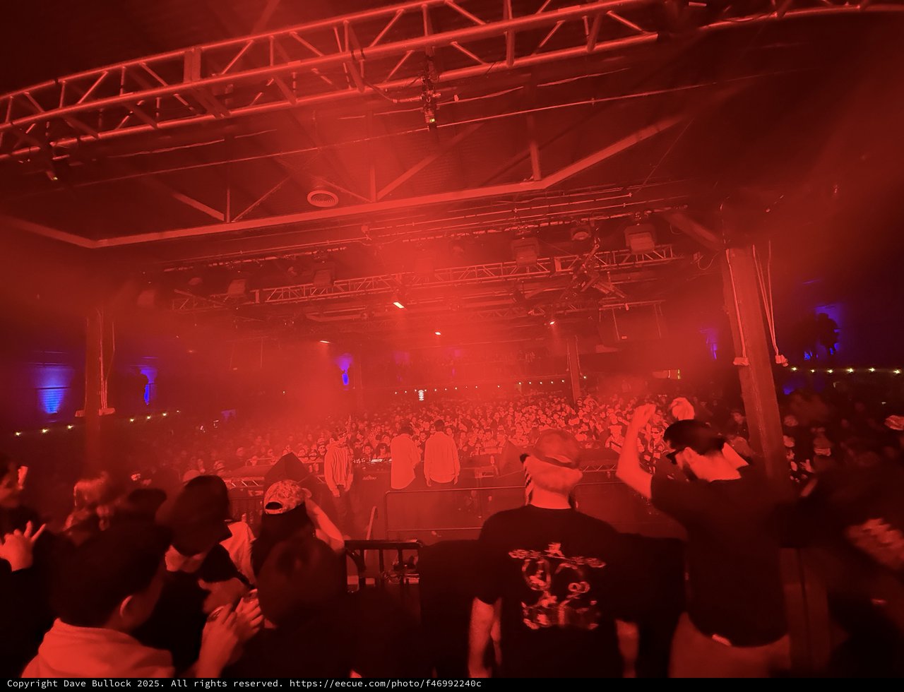 Red-Lit Electronic Music Concert with Massive Crowd