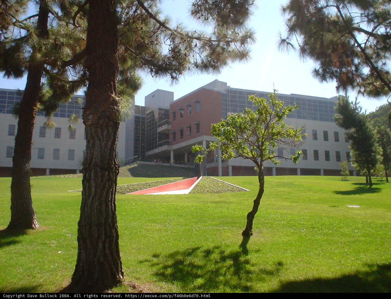 A Serene View of Nature on a Campus