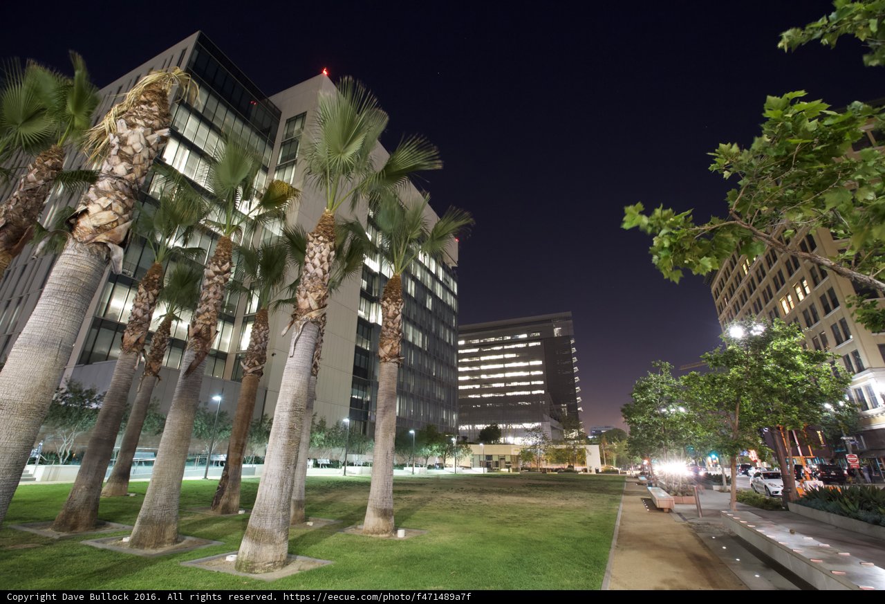 Metropolis at Night