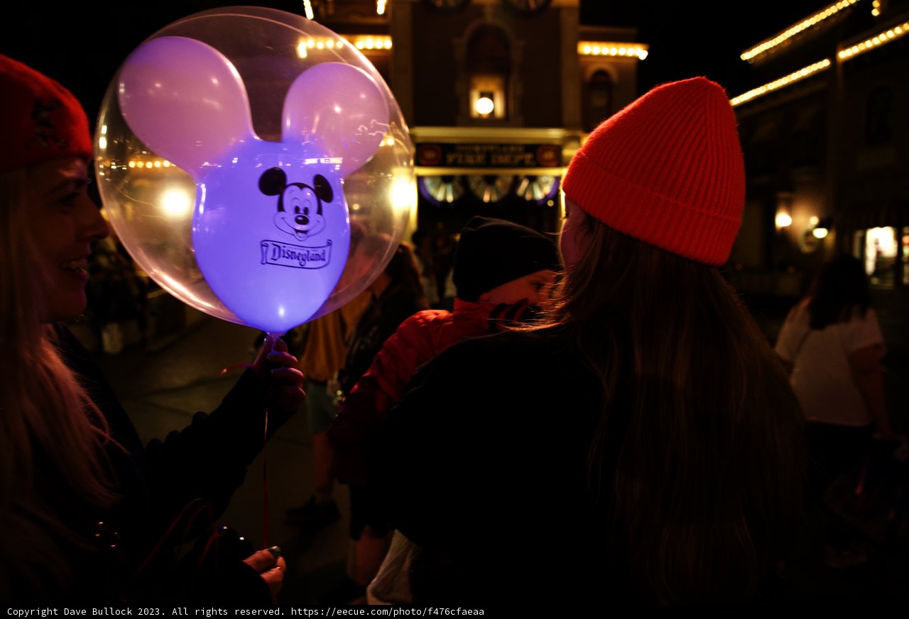 Magical Moments at Disneyland
