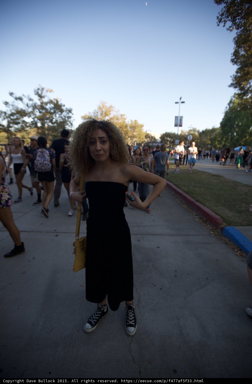 Curly Hair Festival Portrait