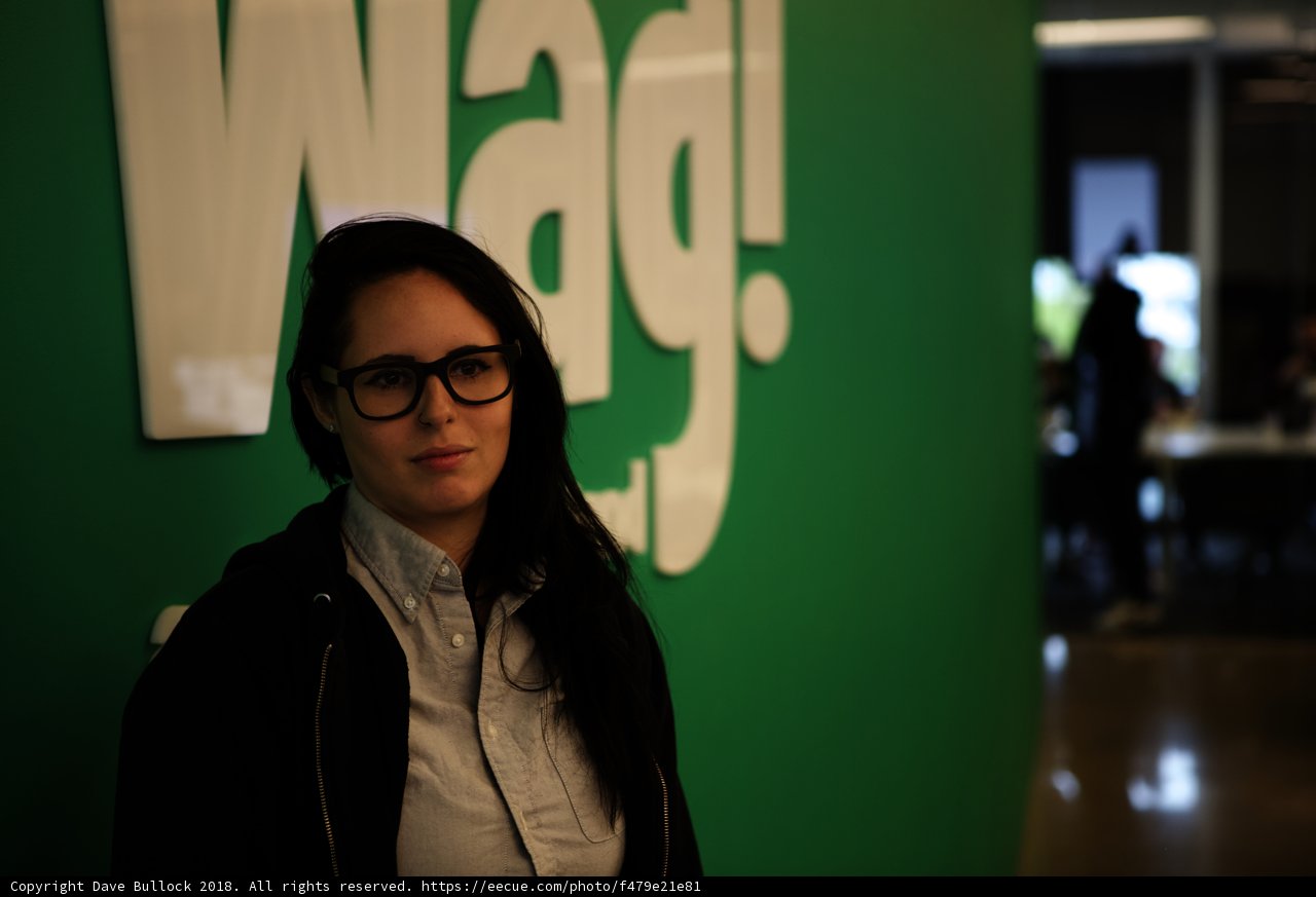 Standing Proud: A Woman in Glasses and Her Wag Logo