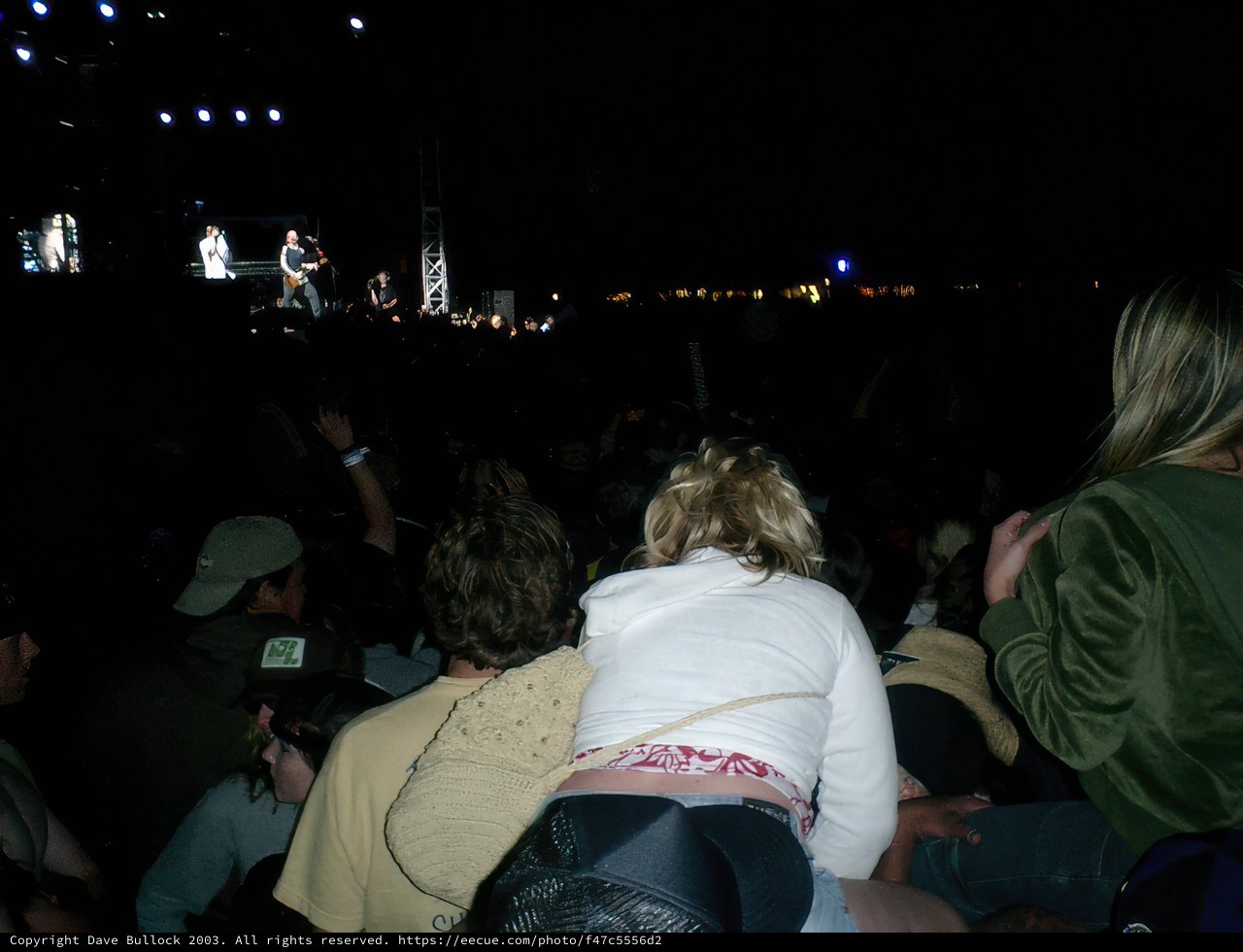 Crowd Surfing Lovebirds