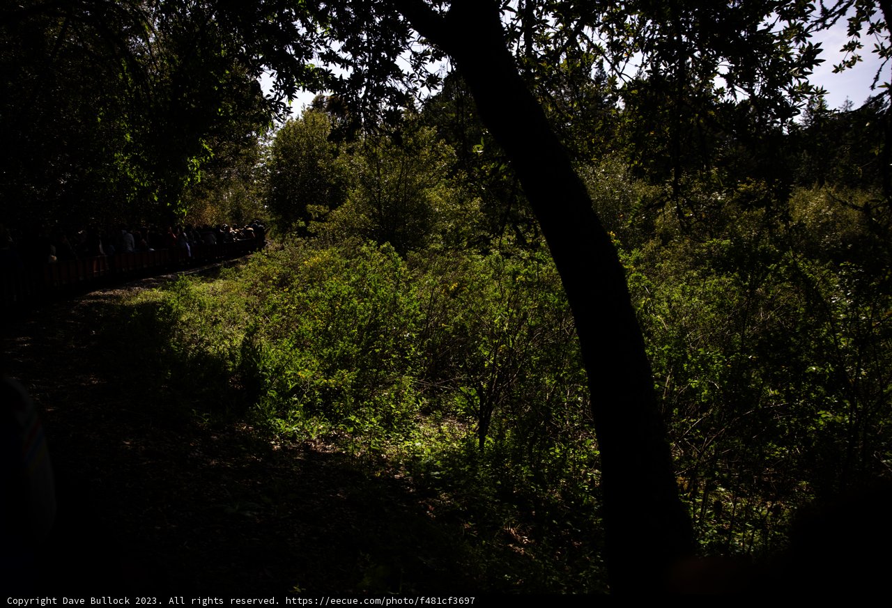 Enchanted Forest Train Ride