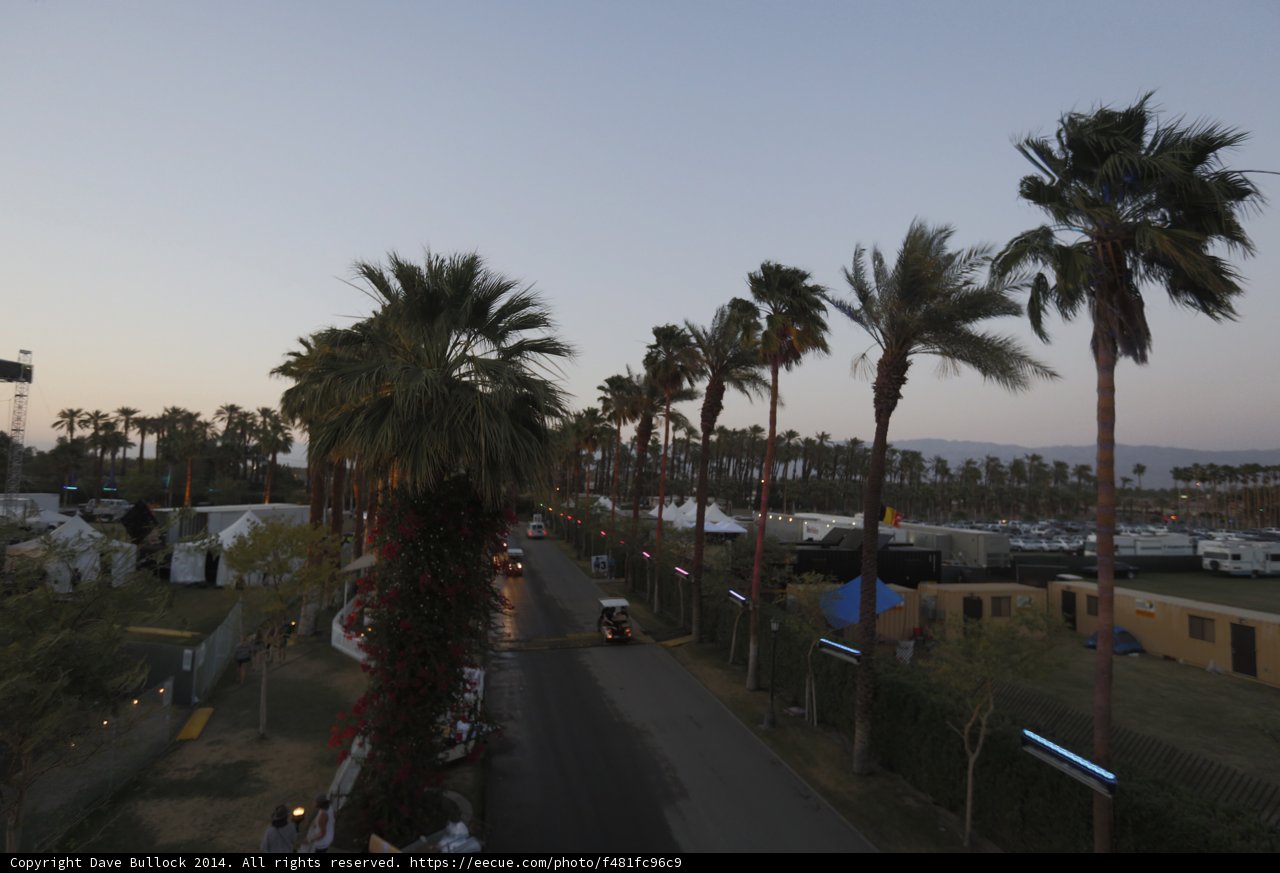 Palm Trees and Tents on Coachella Sunday