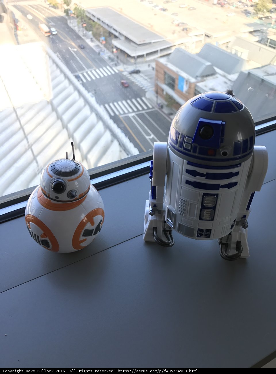 Robotic Window Dwellers