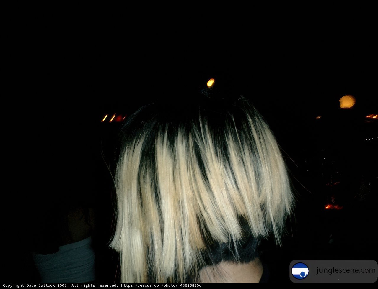 Mystical Blonde in the Night
