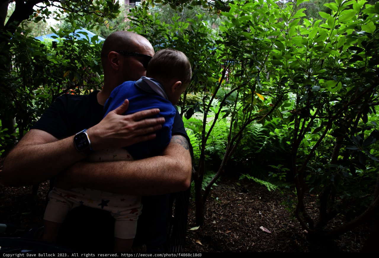 Precious Moments in the Magical Park