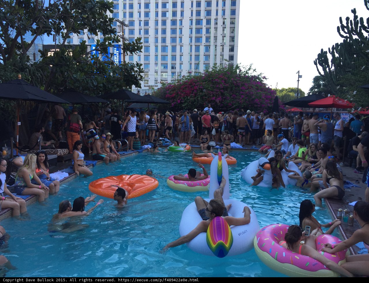 Pool Party Fun with Friends
