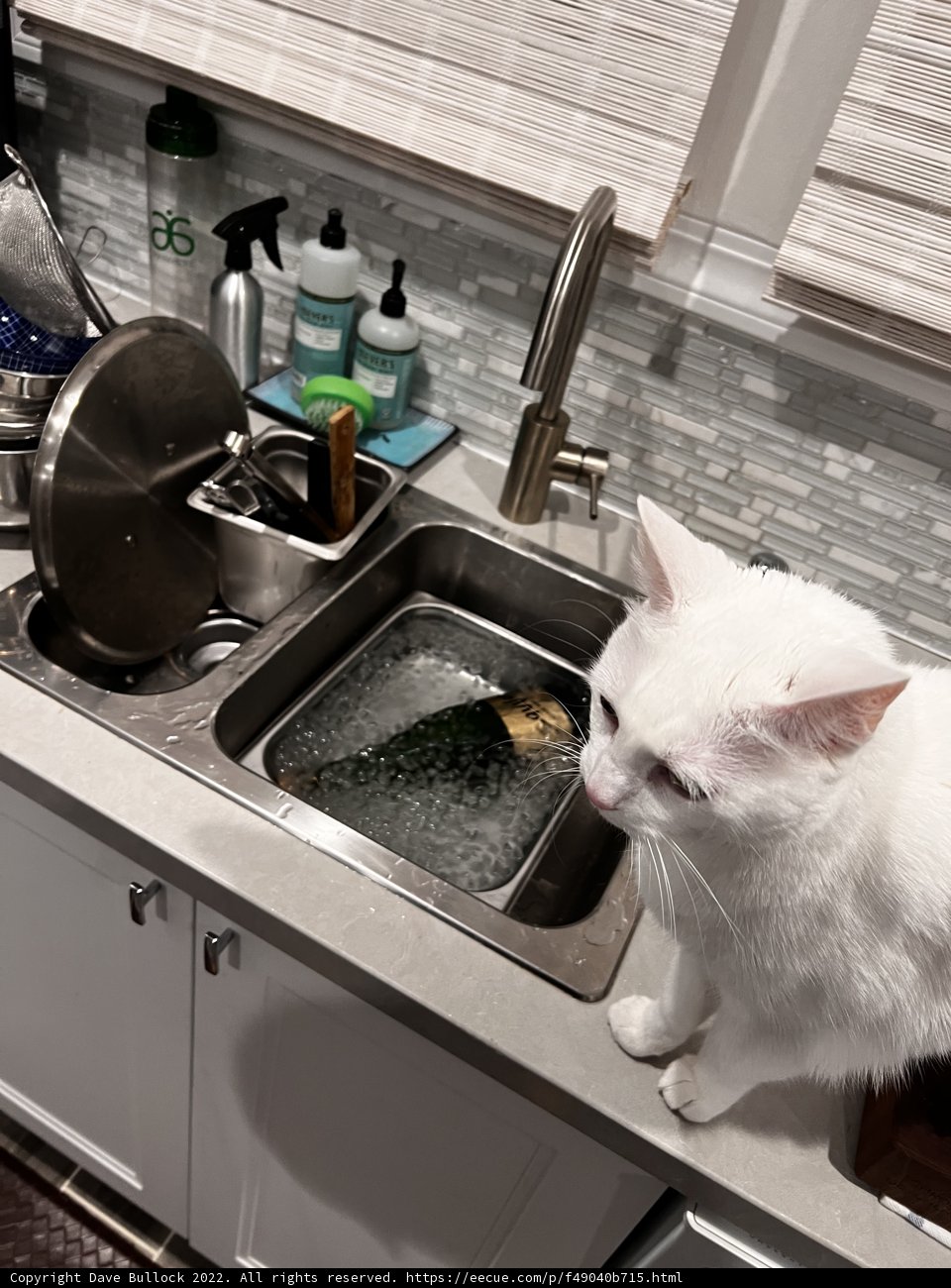 Sinkside Companion
