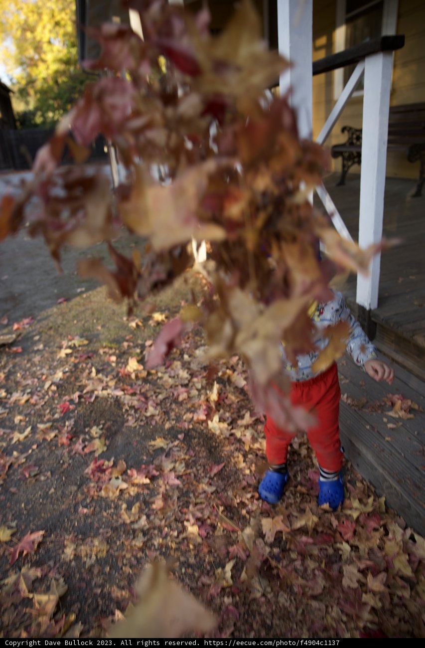 Autumn Portrait in Downtown Sonoma