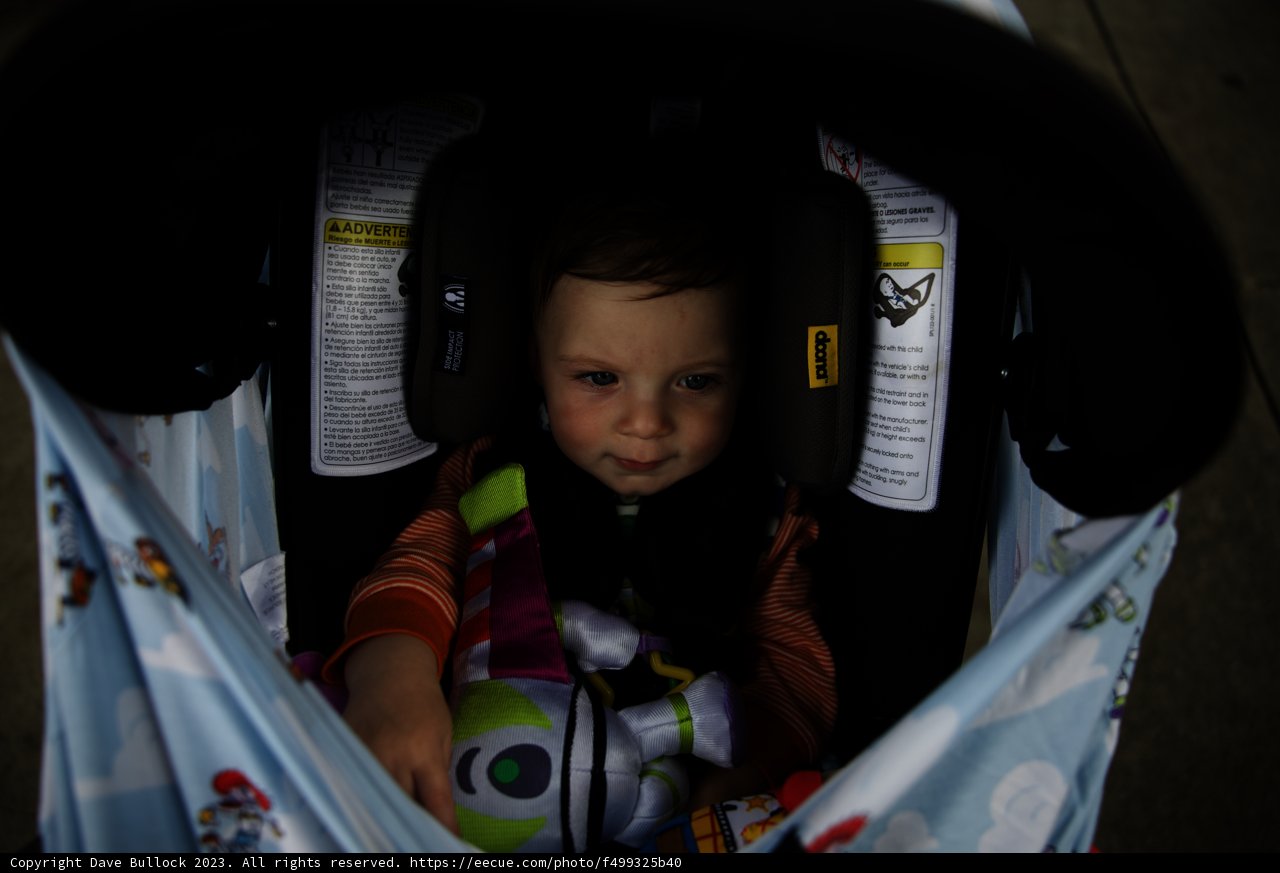 Wesley's Adventure with His Toy Car