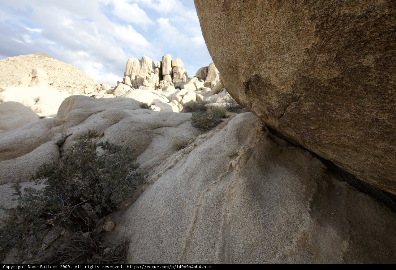 Desert Formation with Lone Tree