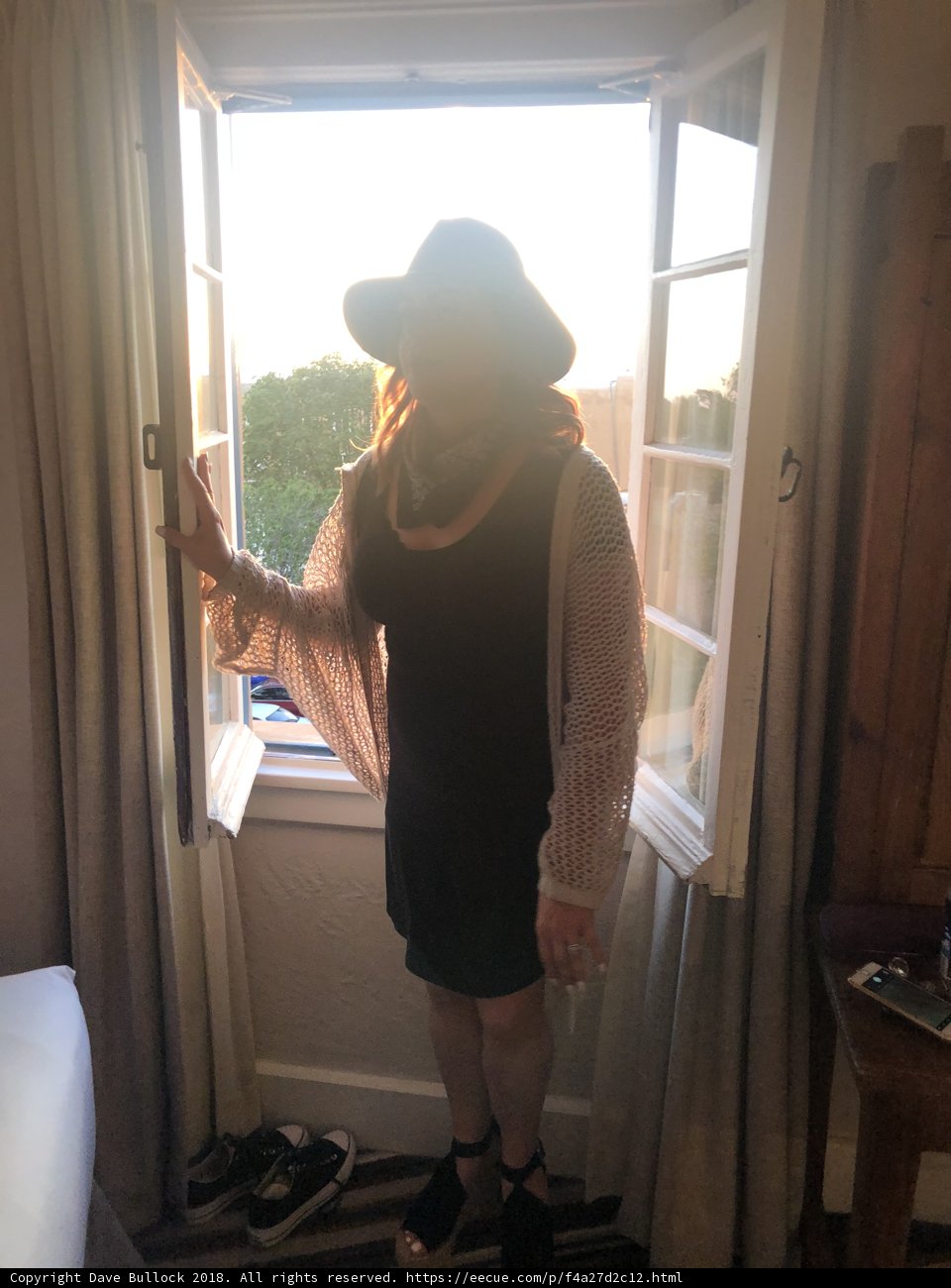 Window Gazing Beauty