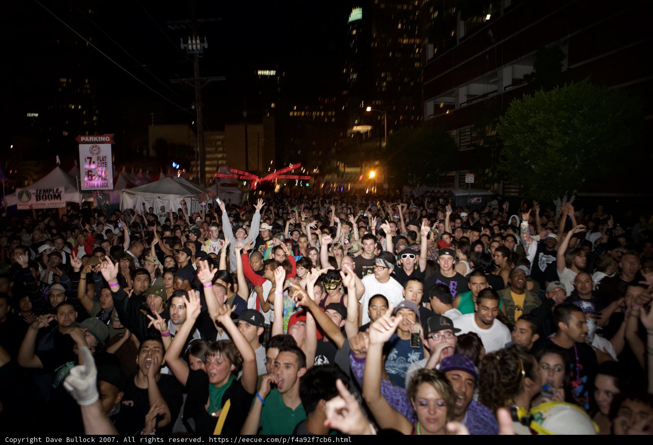 Nocturnal Concert's Electrifying Crowd