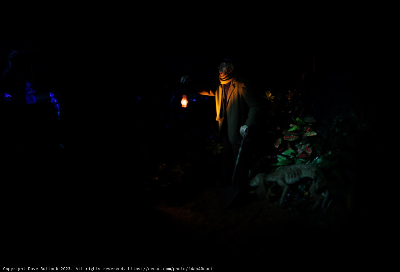 The Lantern Holder in Disneyland