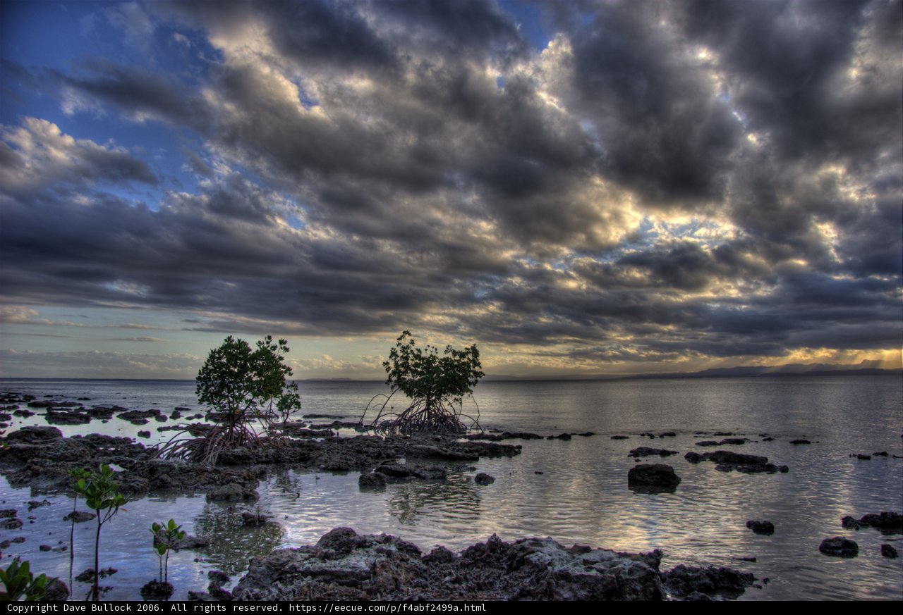 Stormy Skies over Mangroves