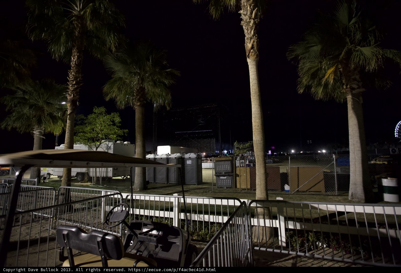 Nighttime Oasis