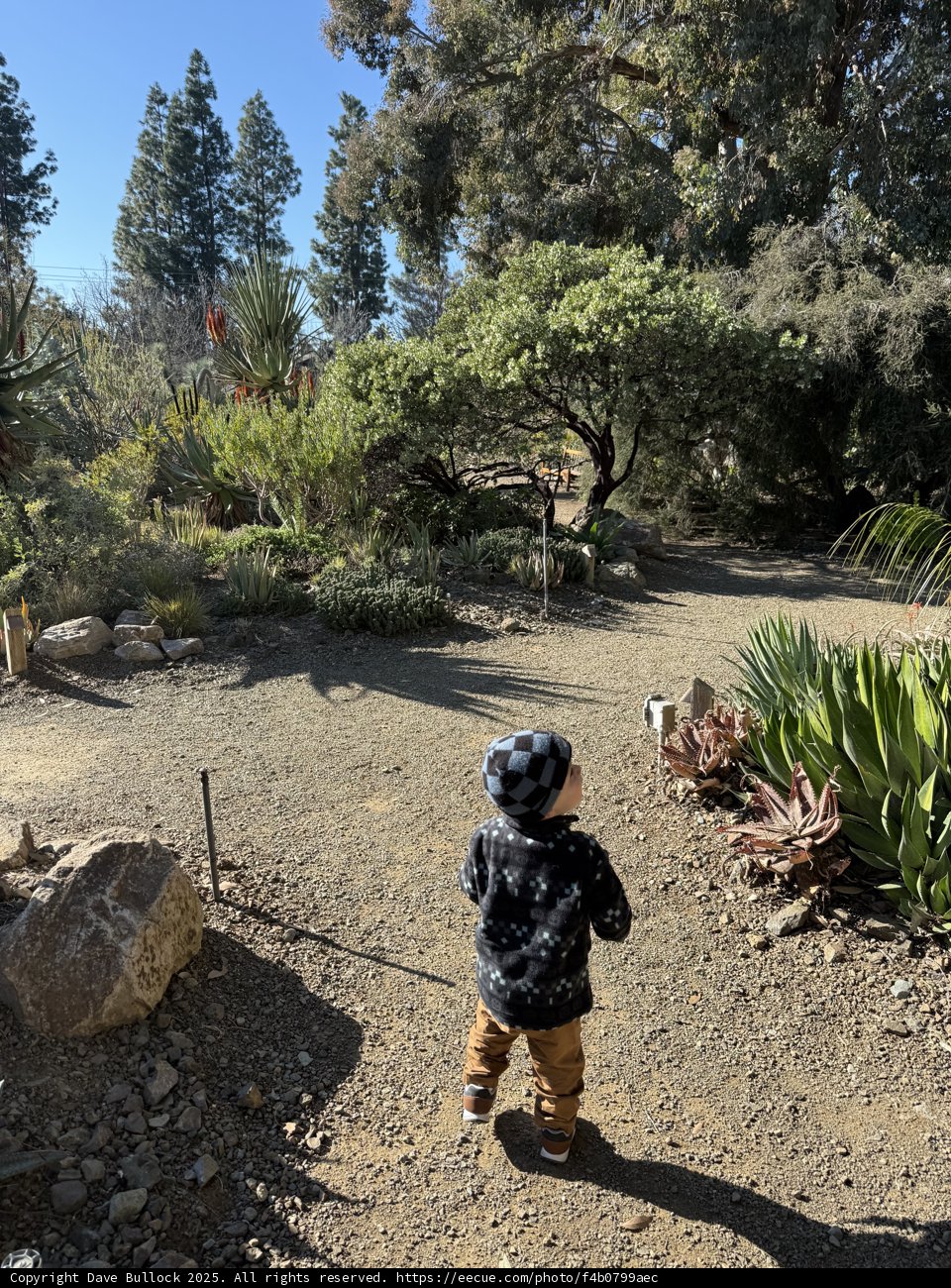 Wandering Through Nature's Canvas