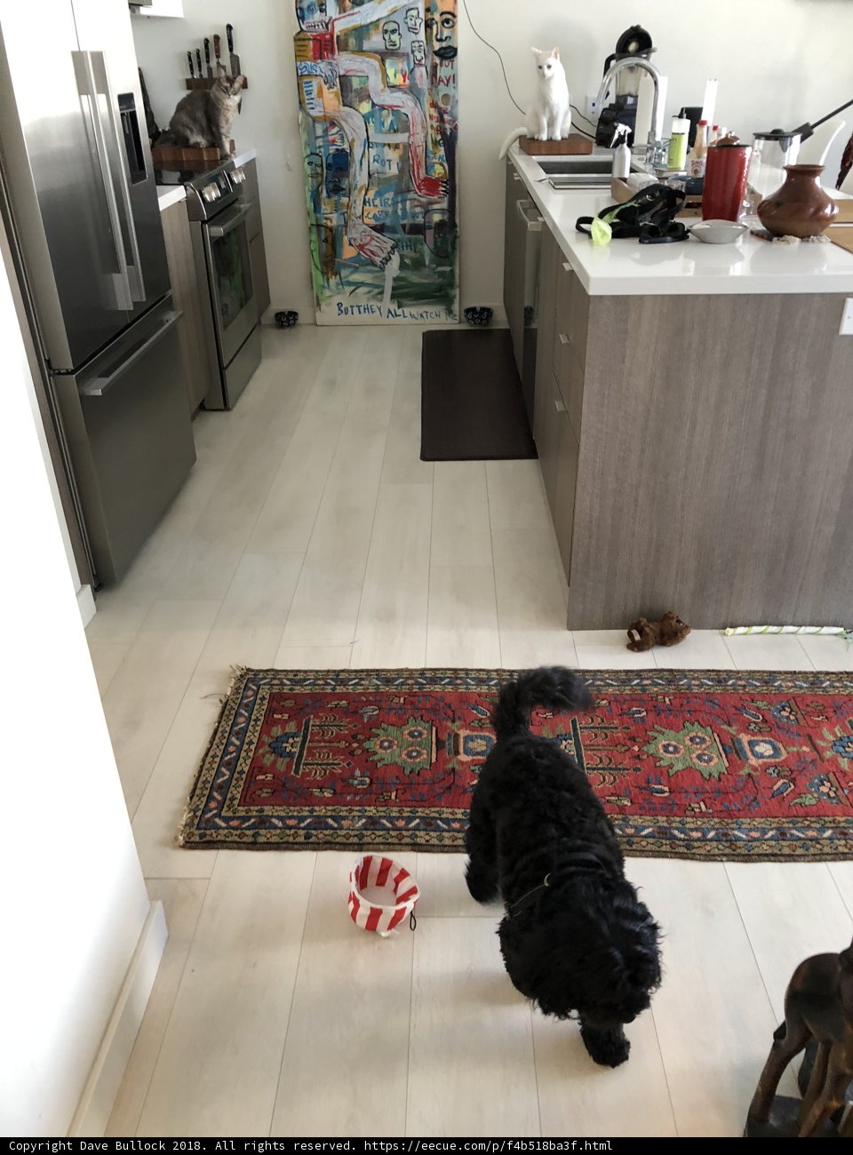 Furry Kitchen Companion