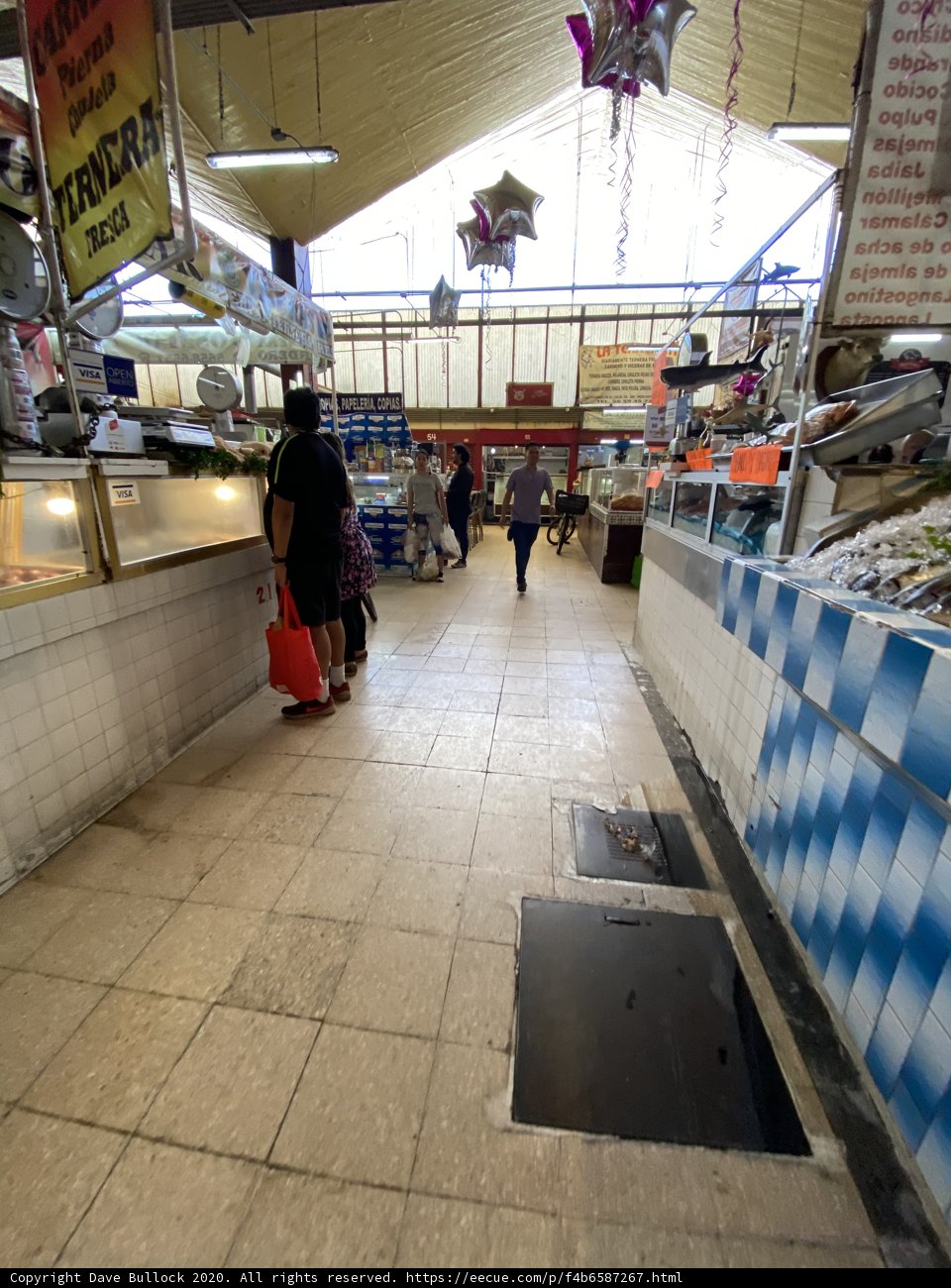 Bustling Fish Market in Mercado de Coyoacan