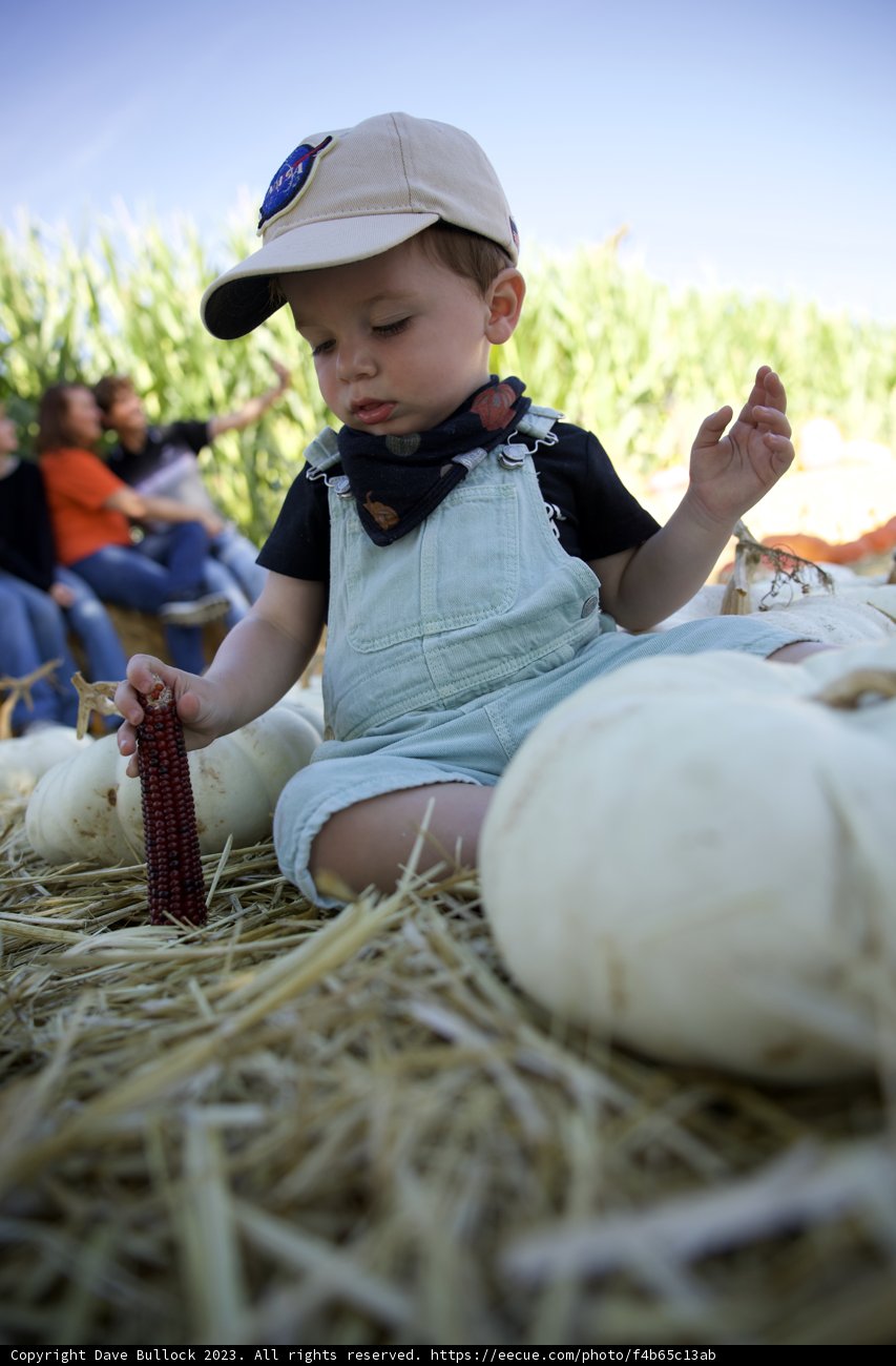 Wesley's First Pumpking Patch Adventure