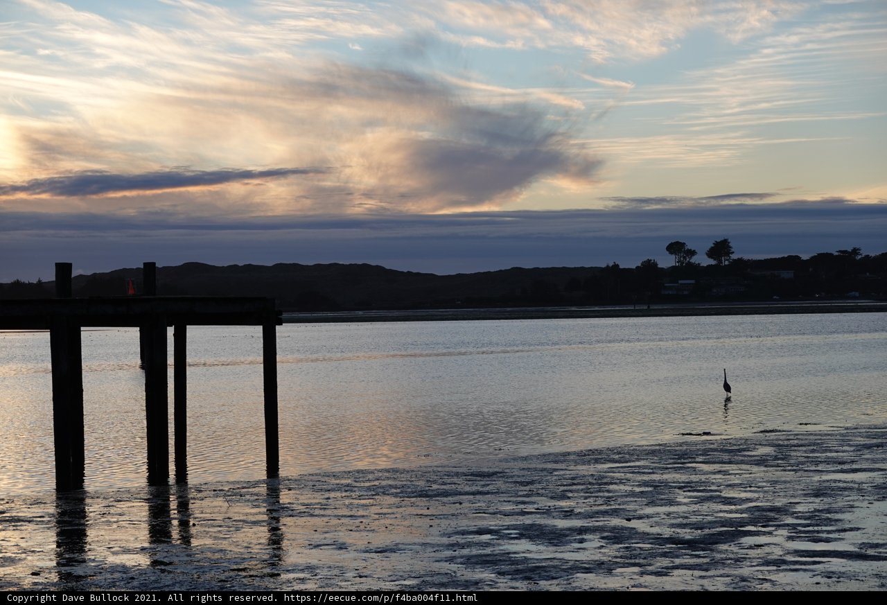 Pier Birdwatching At Sunset
