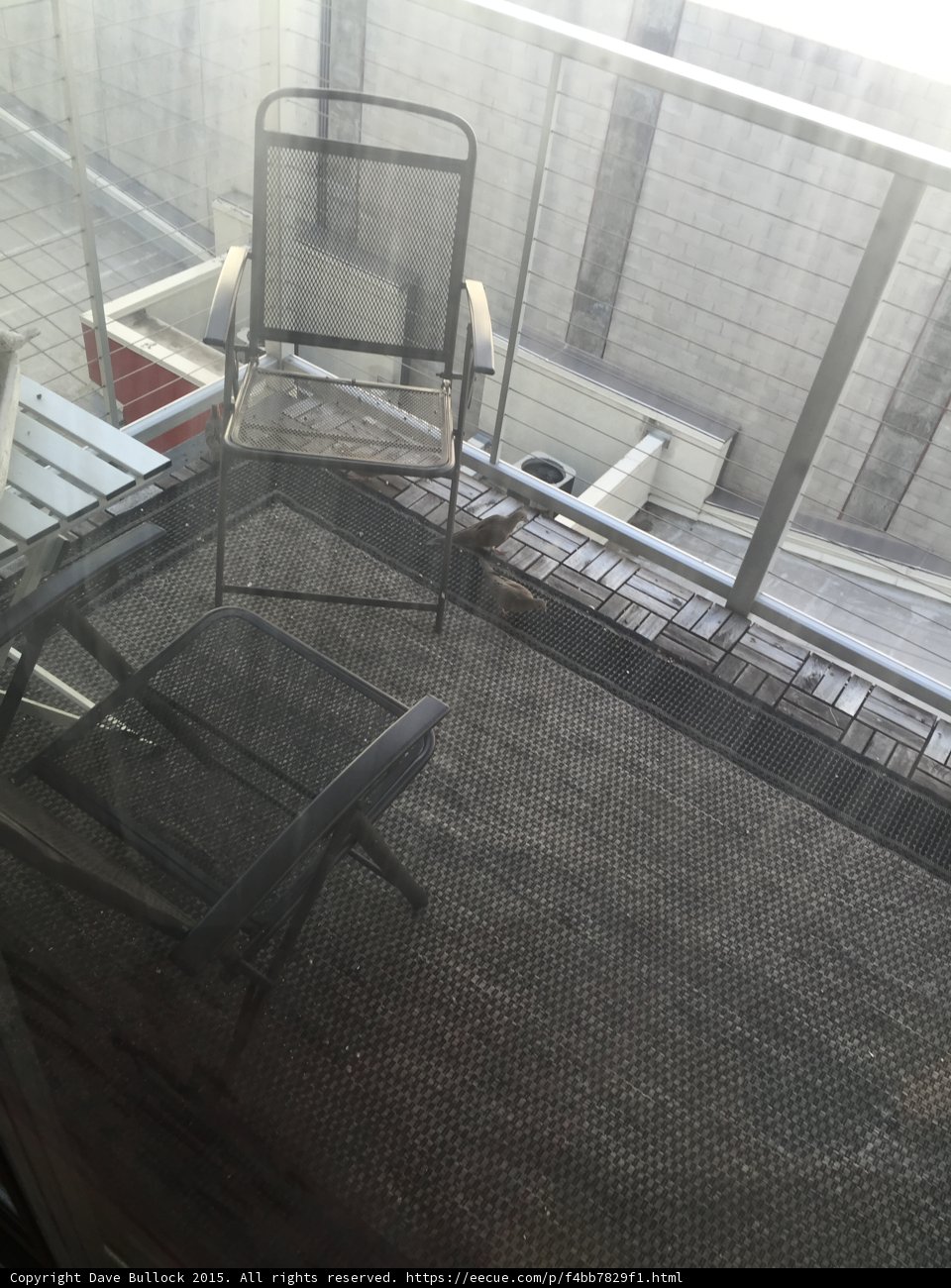 Balcony Escapades