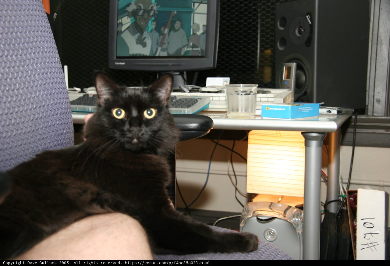 Feline Technology