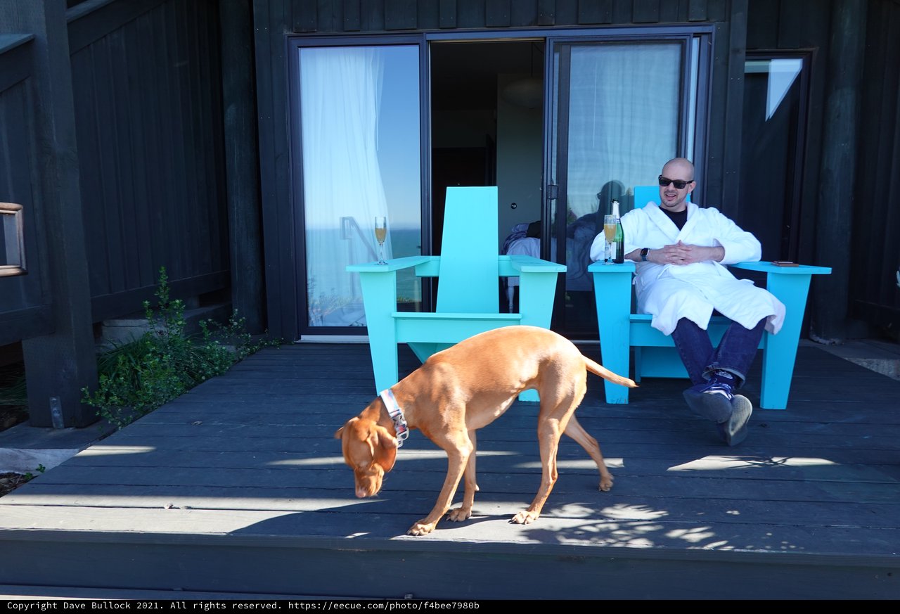 Relaxing with Dog on Deck Champagne