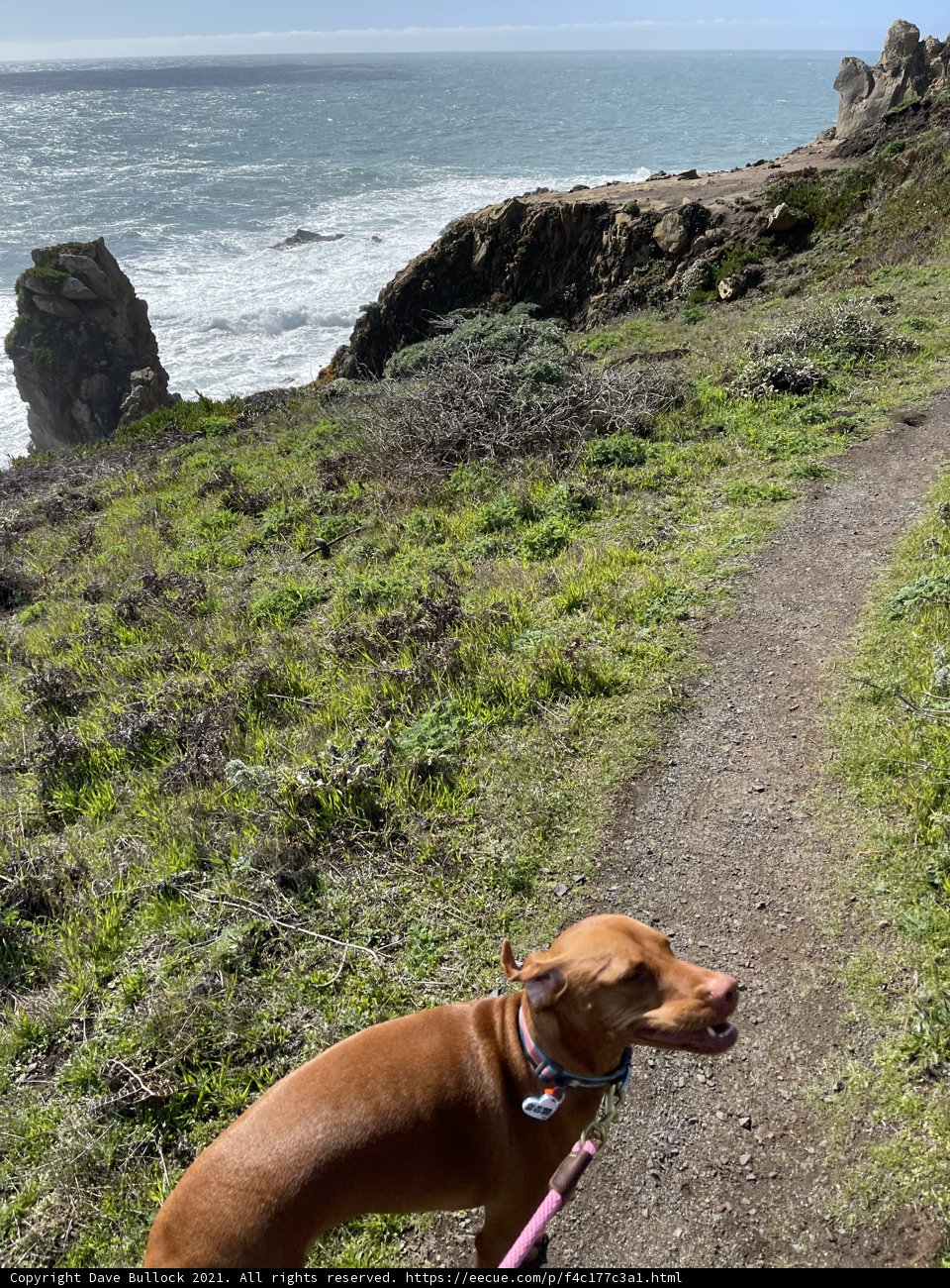 Taking a stroll along the ocean trail
