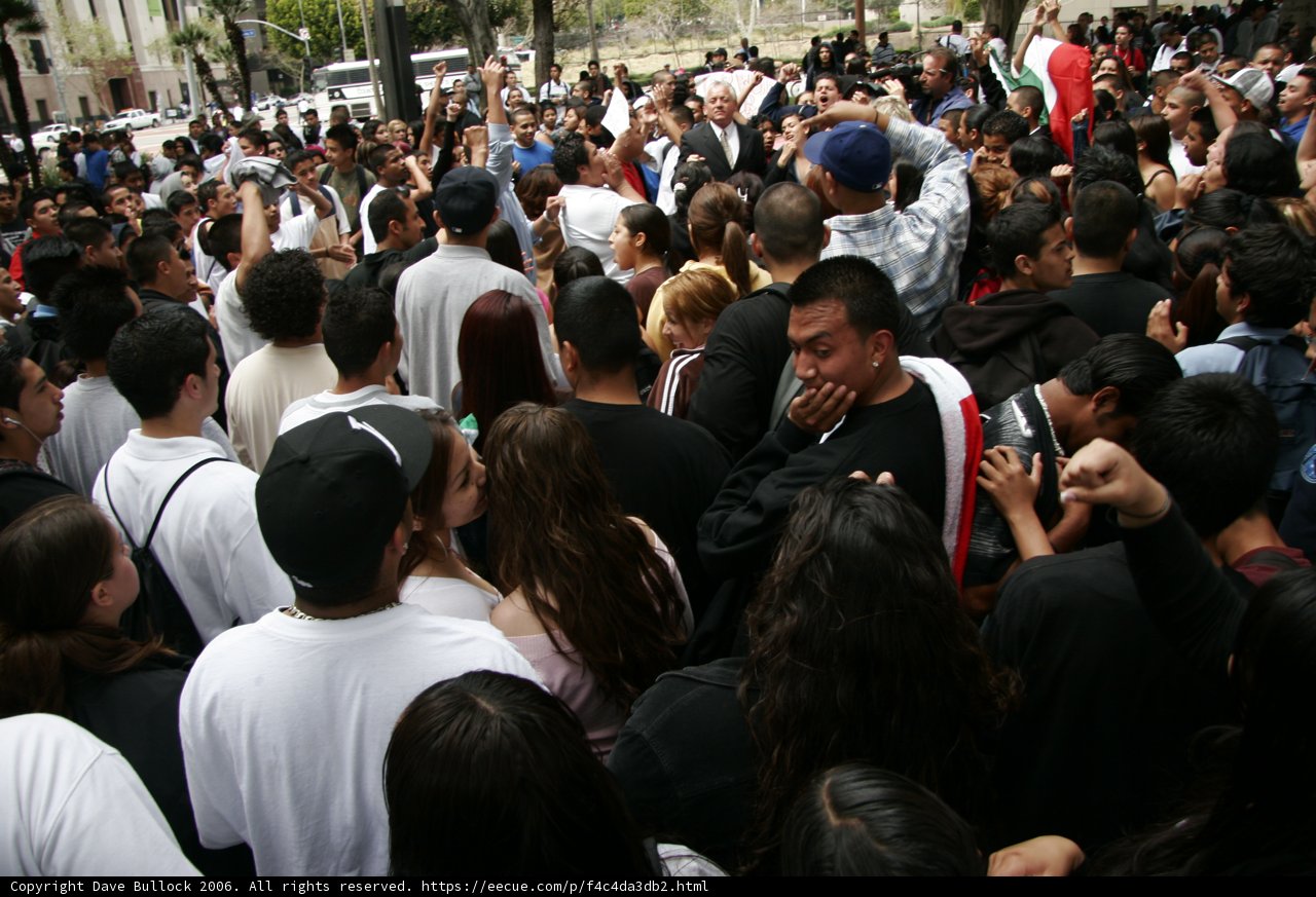 School Walkout Protesters