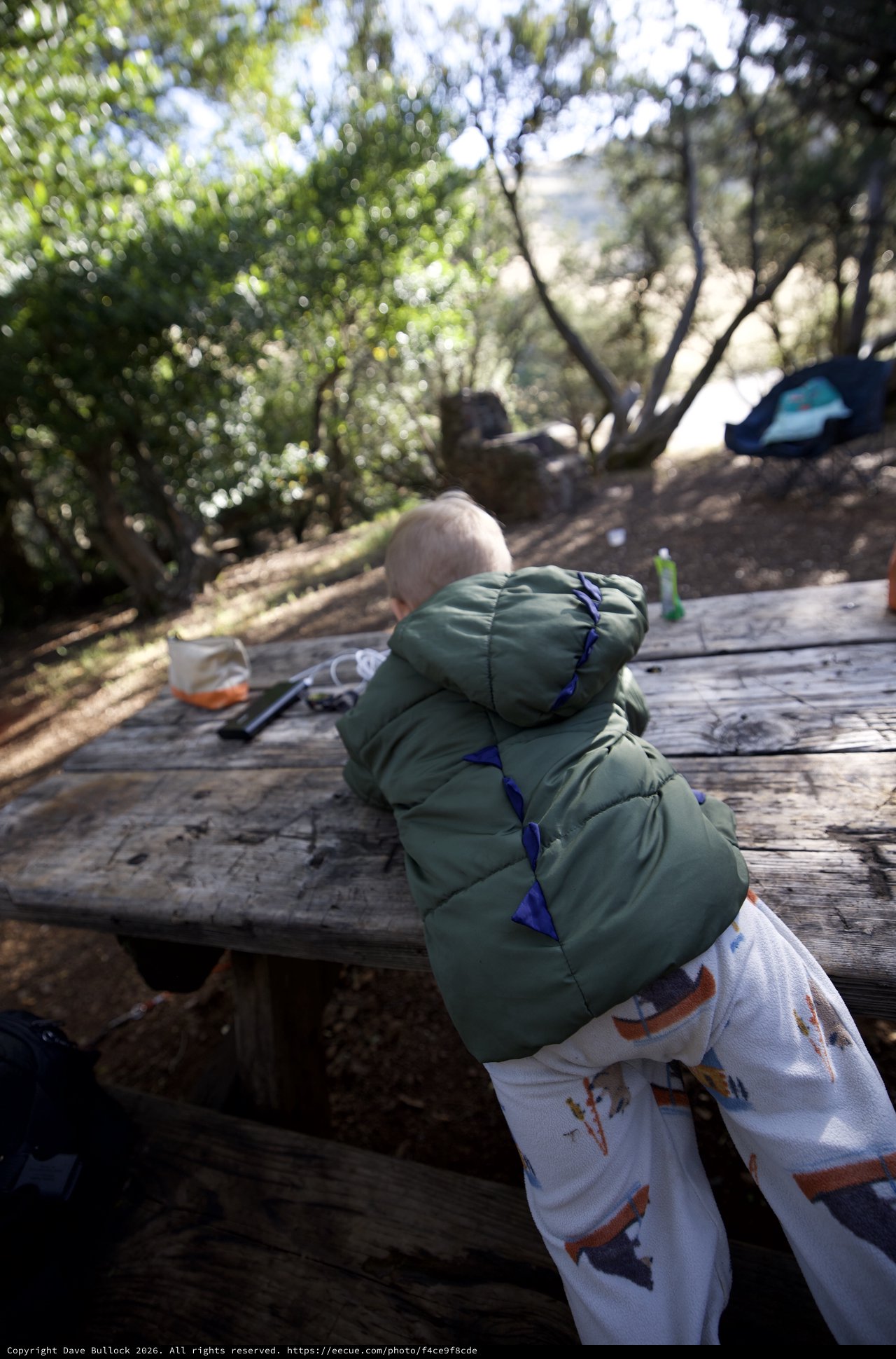 Toddler Explorer at Campsite Picnic Table