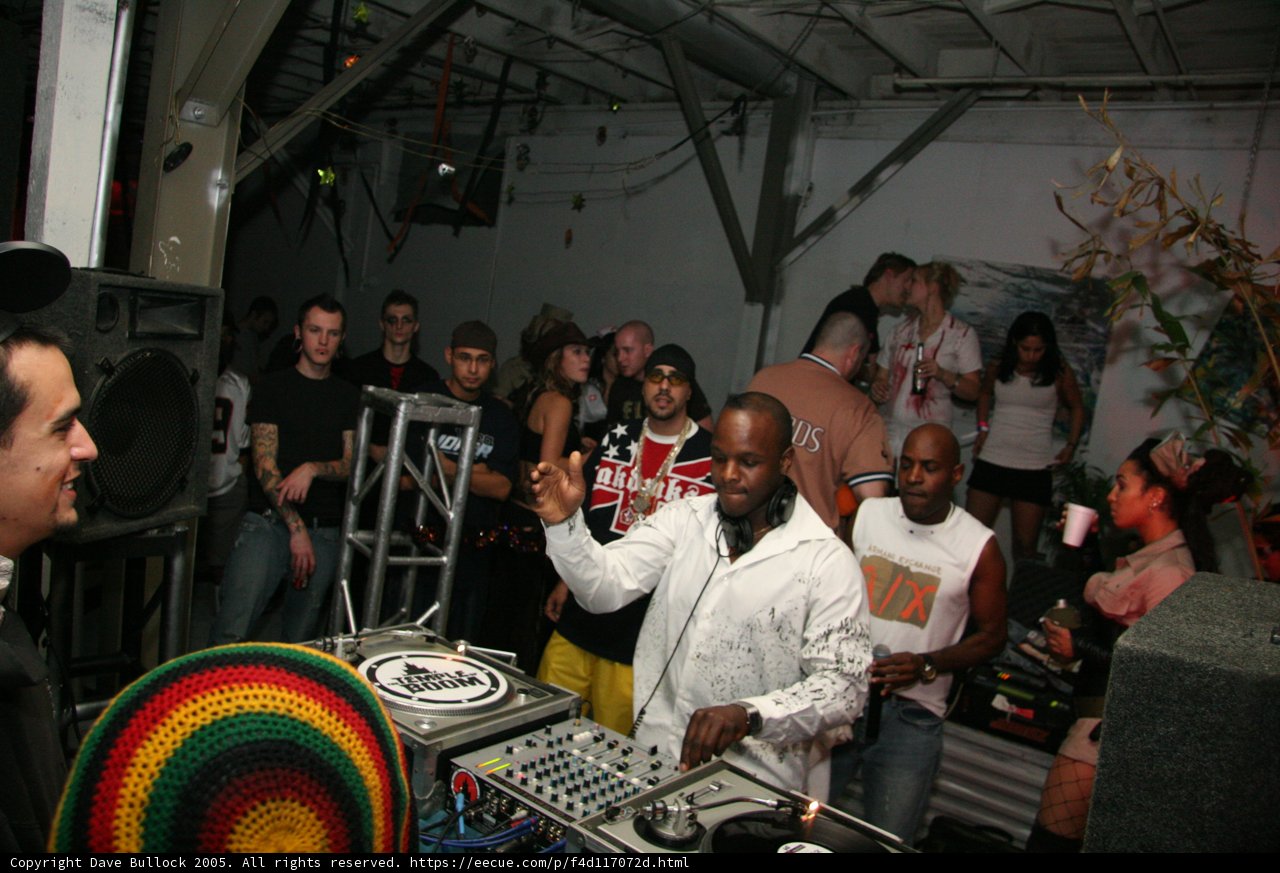 DJ SS Mixing Up the Night