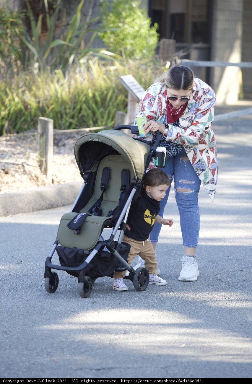 A Stroll Through The SF Zoo