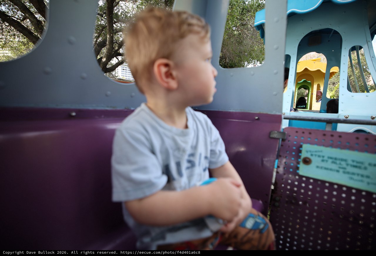 Young Boy Enjoying a Ride at Fantasyland Theme Park