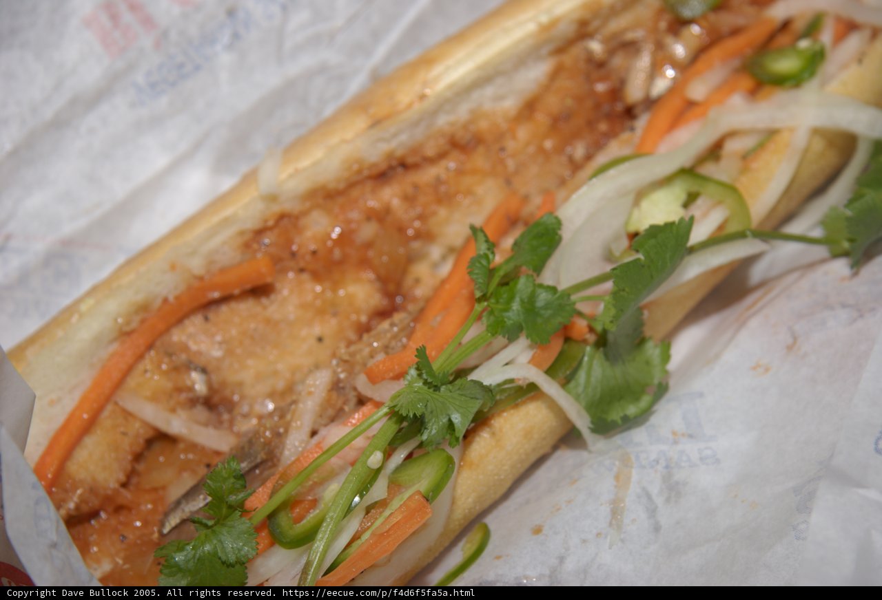 Veggie Meat Sandwich