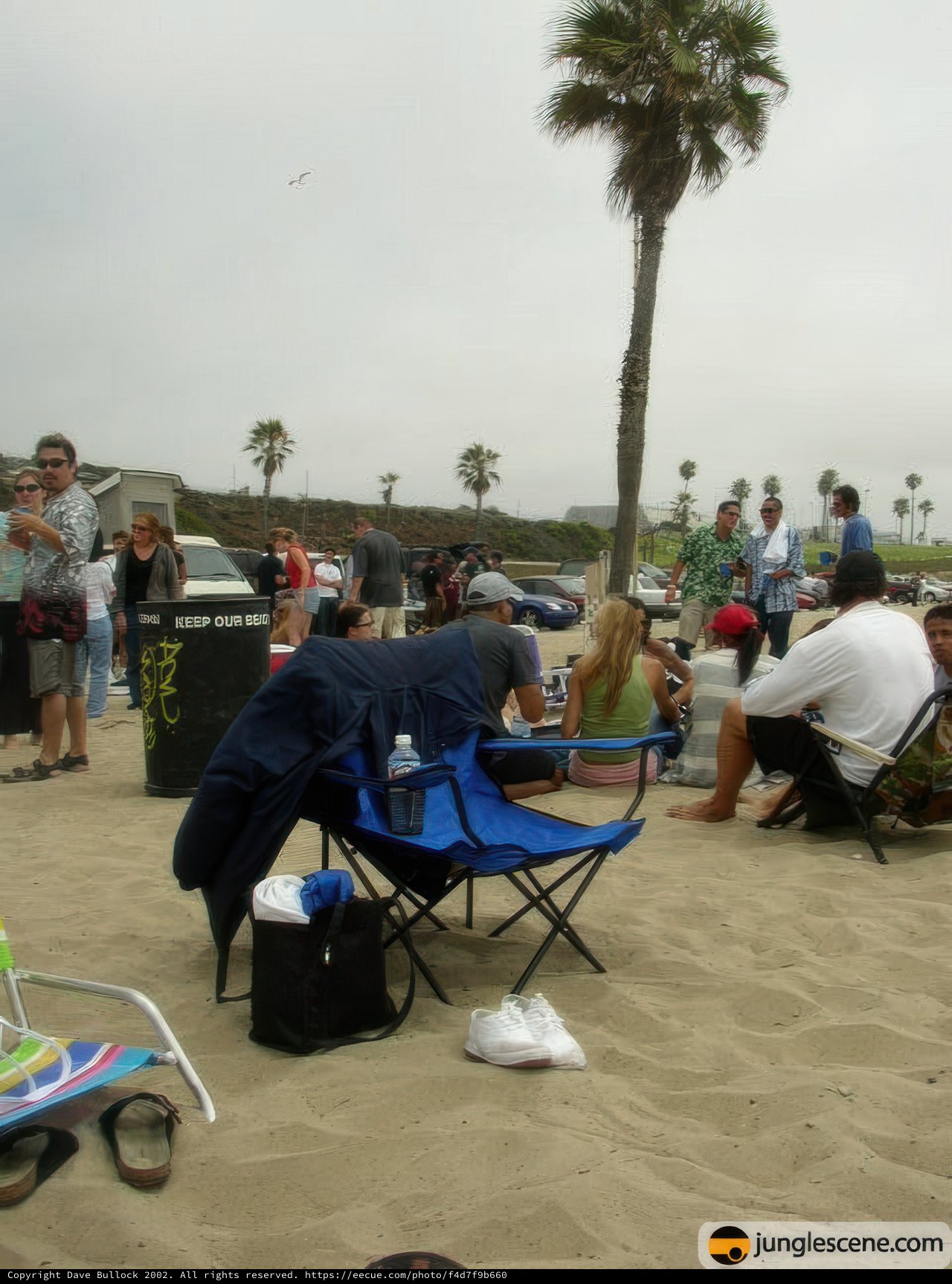 Summer Beach Fun