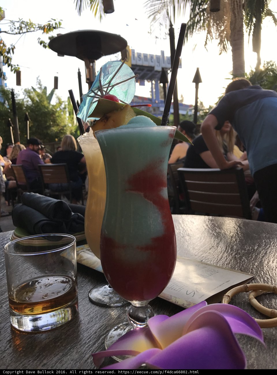 Happy Hour in Paradise