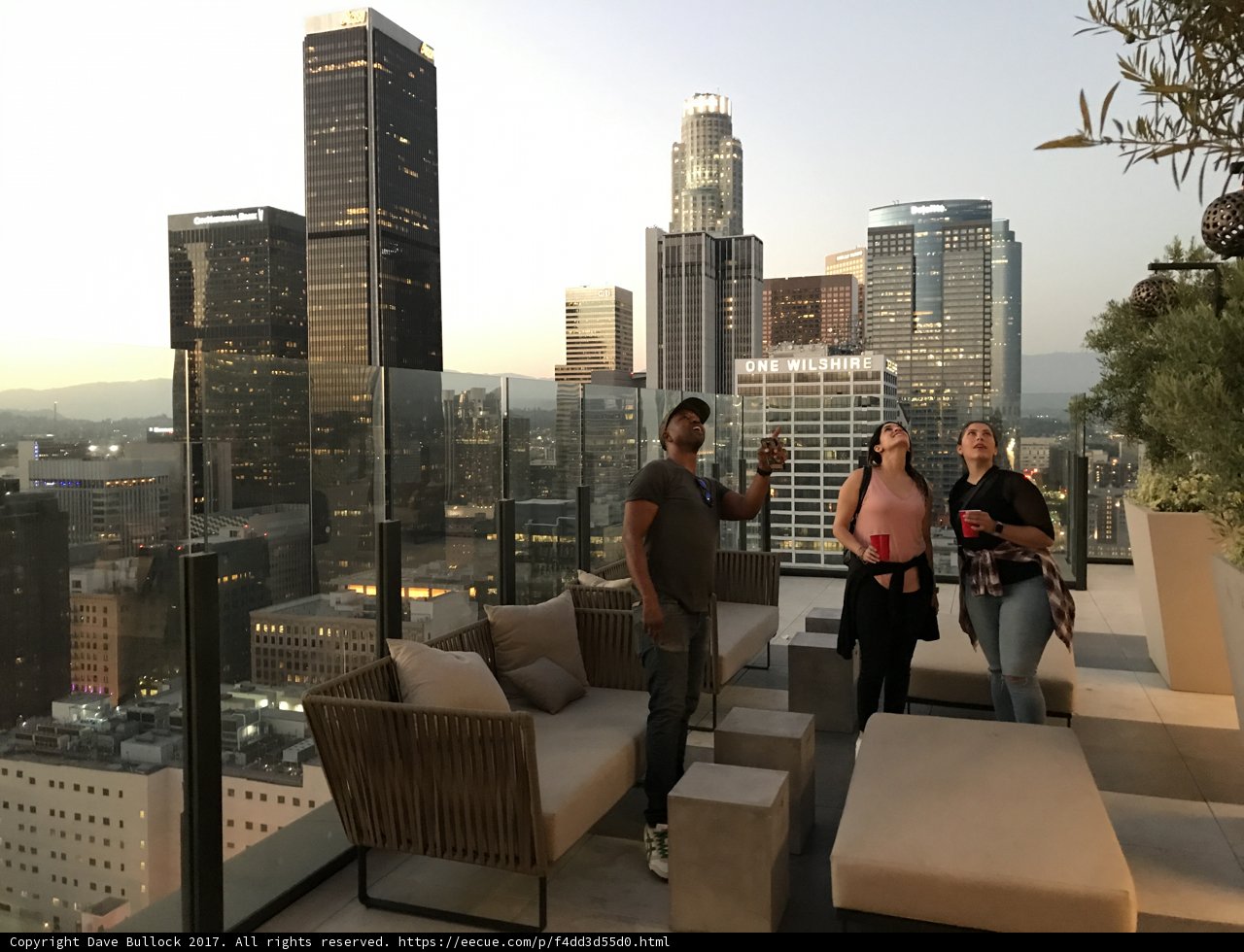 City Rooftop Pals