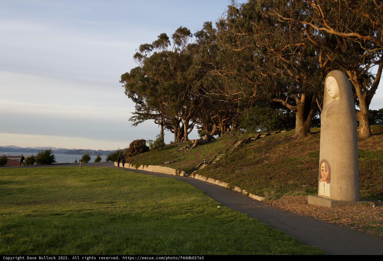 Tranquil Avenue through Nature's Canopy