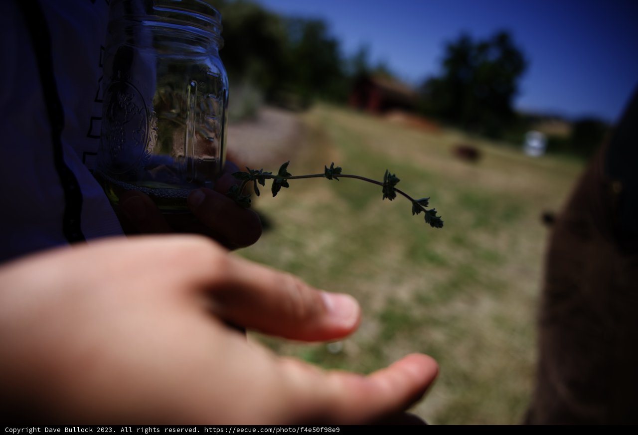 A Glimpse into Regenerative Gardening