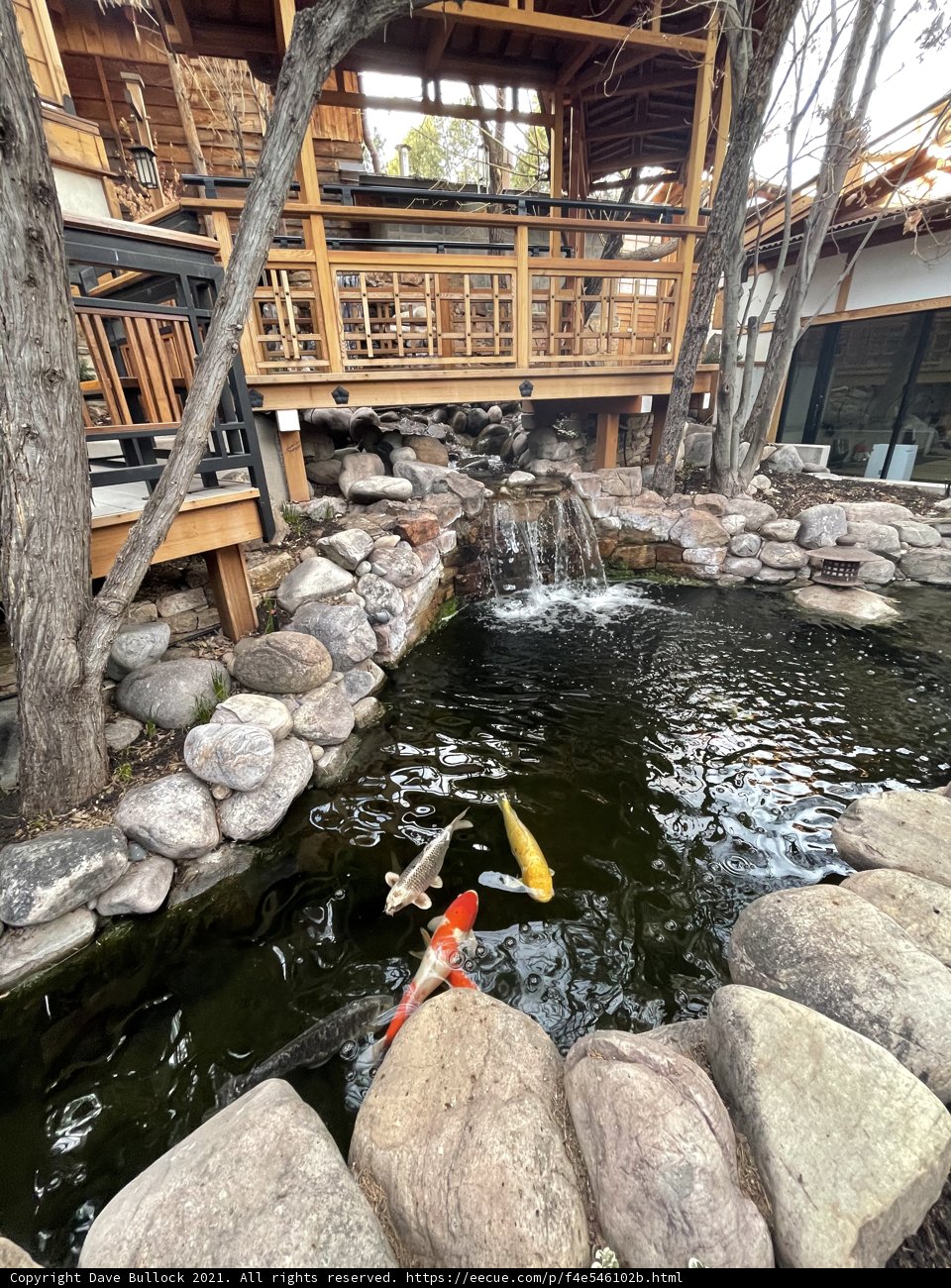 Serene Koi Pond with Cascading Waterfall