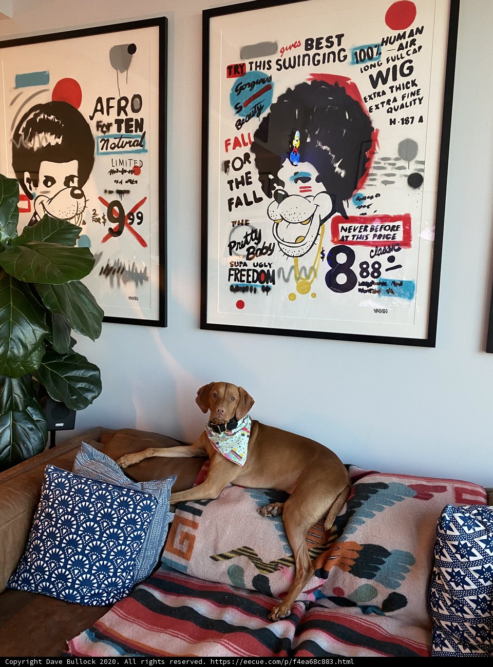 Cozy Canine Corner