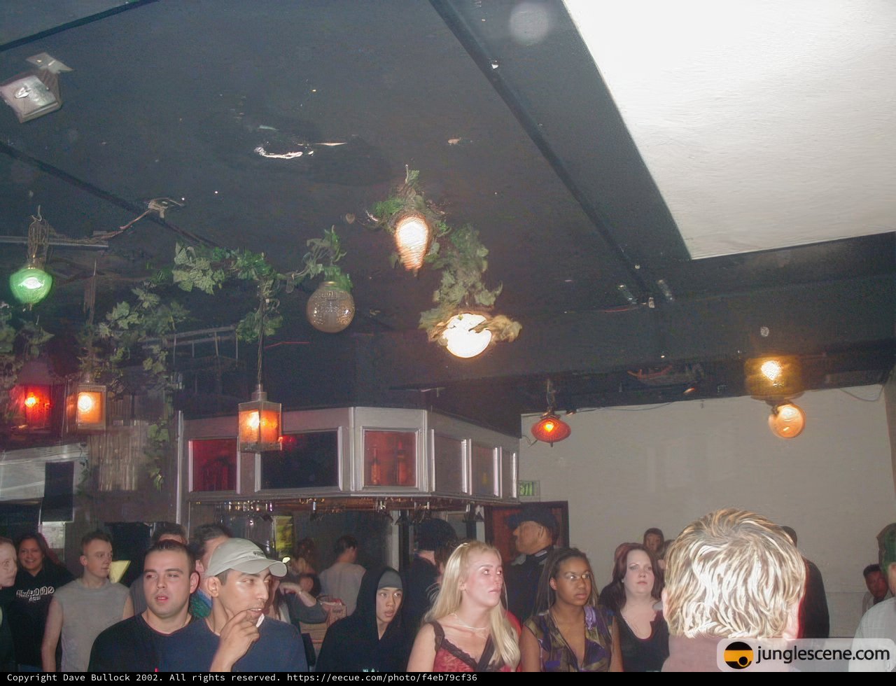 Night Club Fun