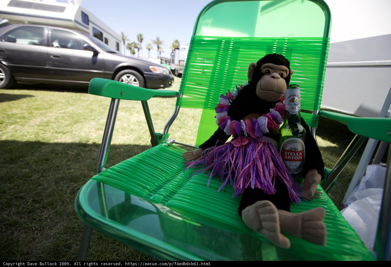 Monkeying Around on the Lawn Chair