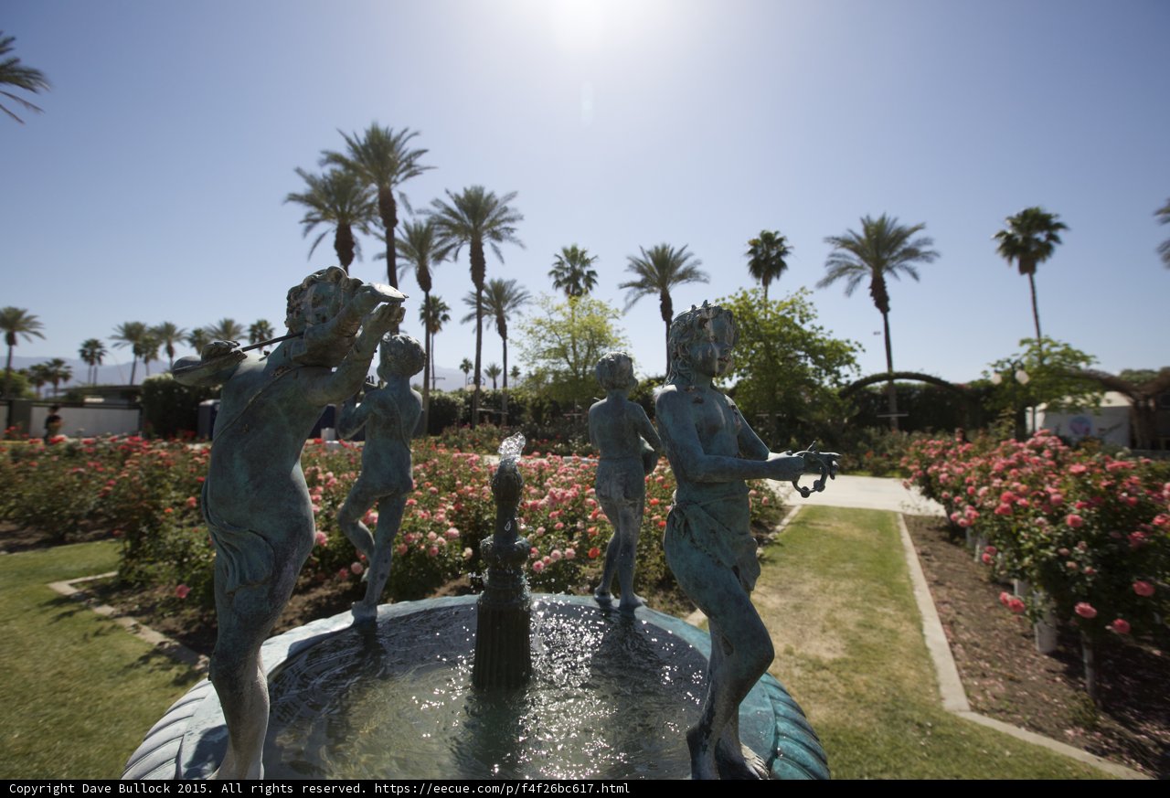 Serene Oasis at Palm Springs Garden