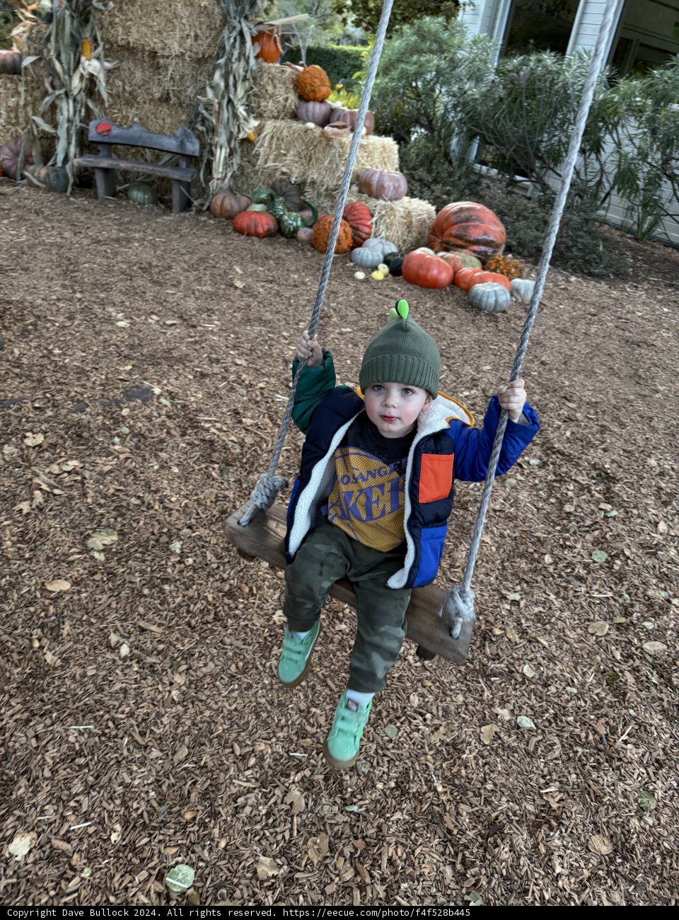 Autumn Adventures in Carmel
