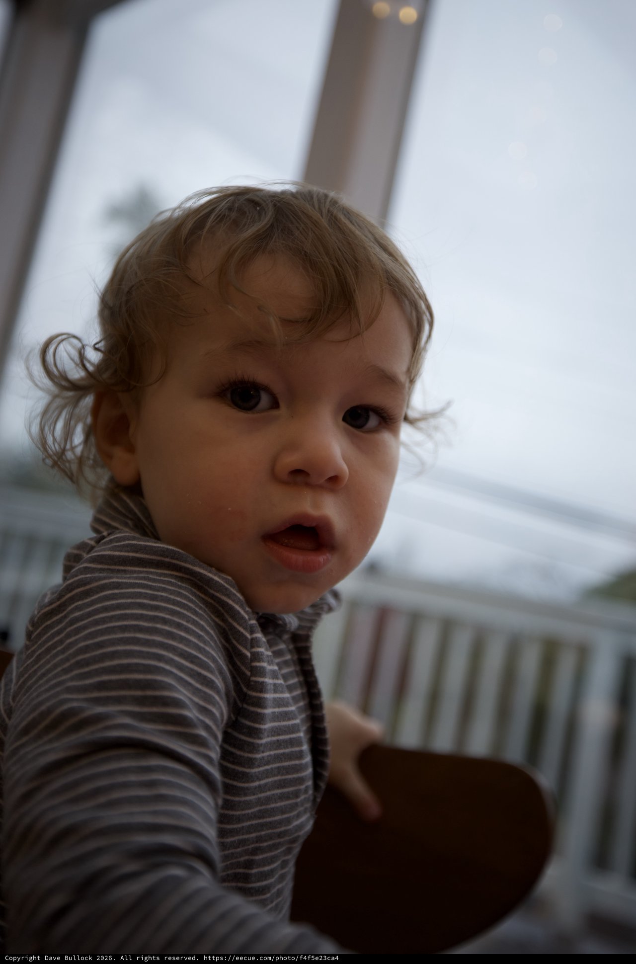 Curious Toddler with Wavy Hair Indoors