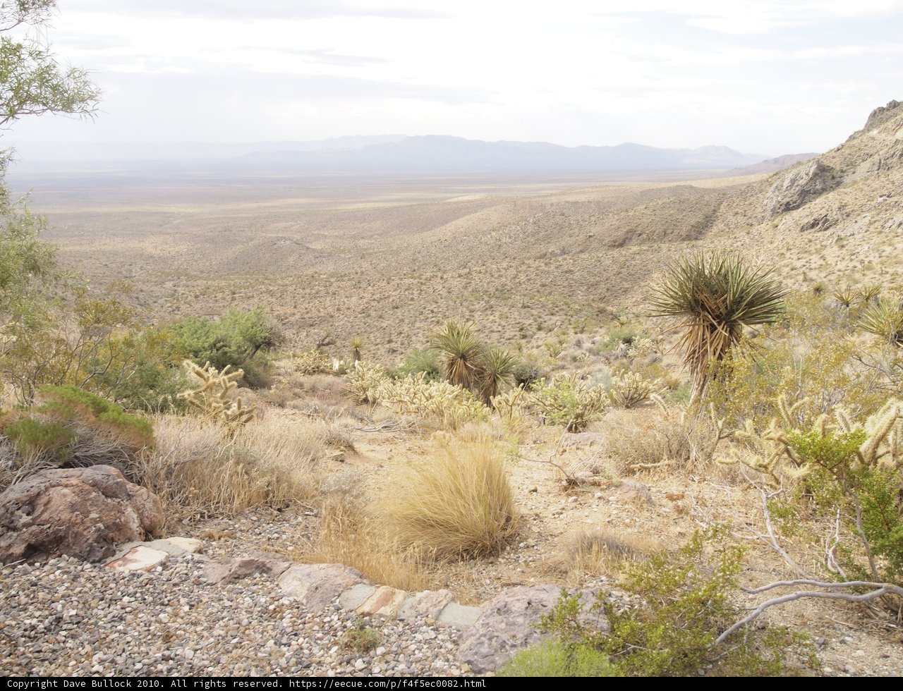 Majestic View of the Desert